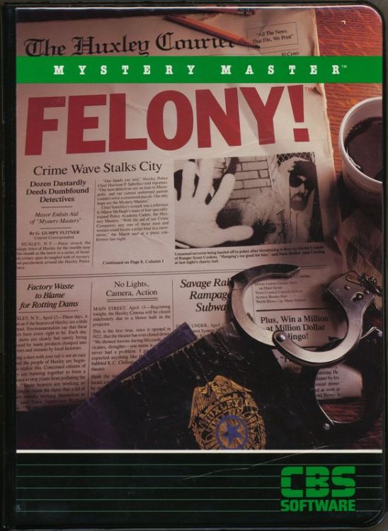 Mystery Master: Felony!