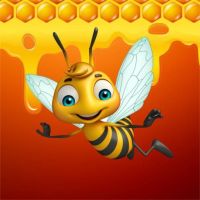 Sweet Sugar Hexa Puzzle