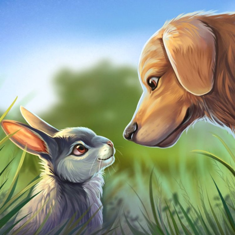 Pet World: My Animal Shelter