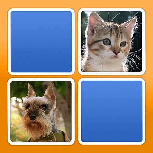 Match