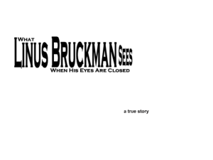 What Linus Bruckman Sees When His Eyes Are Closed