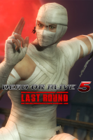 Dead or Alive 5: Last Round - Hayabusa Halloween Costume