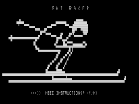 Ski Racer