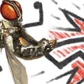 Fly Fu