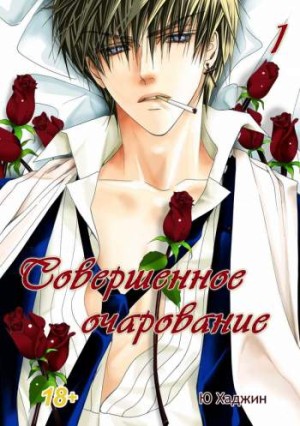 Совершенное очарование. Том 1