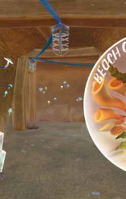 Beach Cafe III: The Escape Room