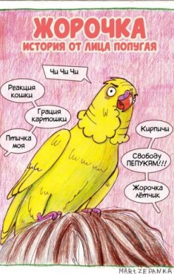 Жорочка
