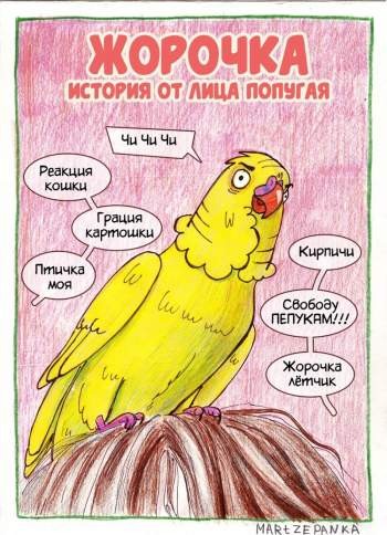 Жорочка