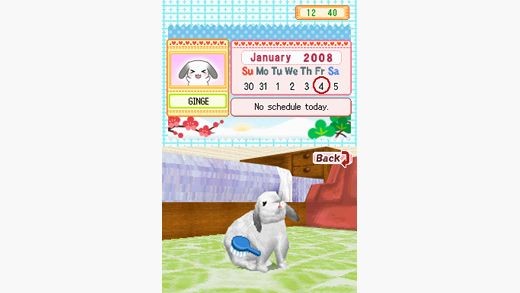 Petz: Bunnyz