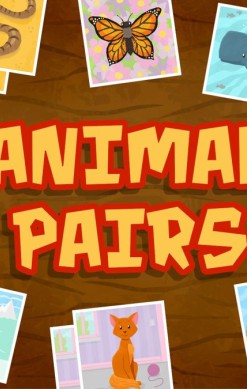 Animal Pairs