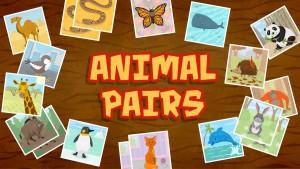 Animal Pairs
