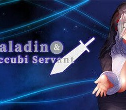 The Paladin & The Succubi Servant
