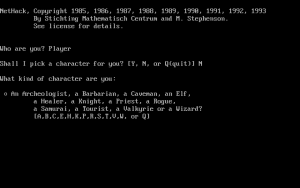 NetHack--