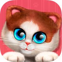 Let the Cat in