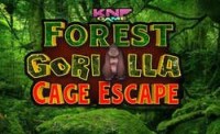 Forest Gorilla Cage Escape
