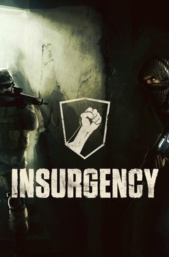 Insurgency