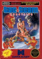 Tag Team Wrestling