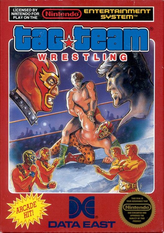 Tag Team Wrestling