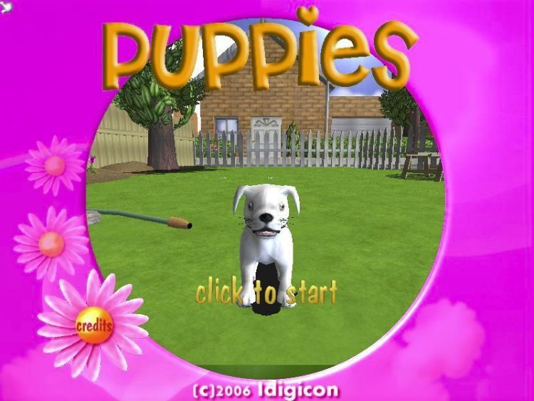 Puppies