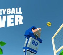 Volleyball Fever