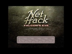 NetHack: Falcon's Eye
