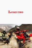 Honda ATV Fever