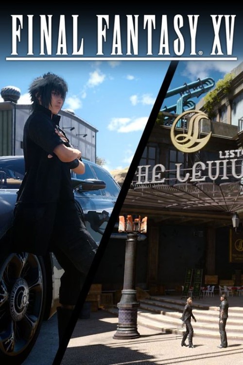 Final Fantasy XV: Item - Travel Pack
