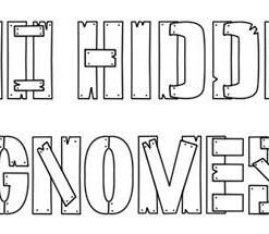 100 Hidden Gnomes