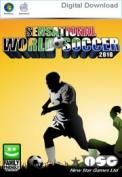 Sensational World Soccer 2010