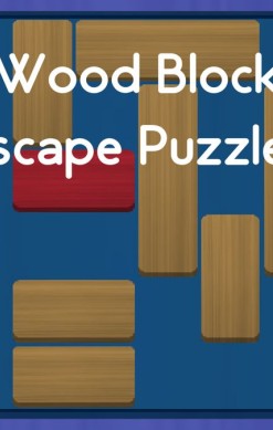 Wood Block Escape Puzzles