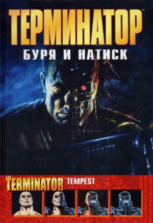 Терминатор: Буря и натиск
