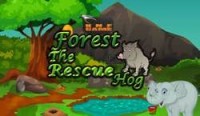 Forest Hog Rescue