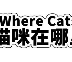 Where Cats