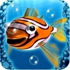 Bubblefish Bob