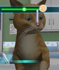 Animal Planet: Vet Life