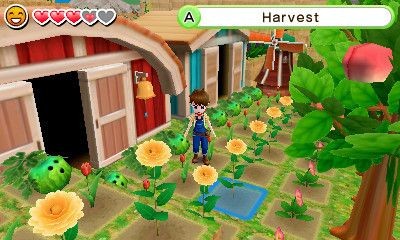 Harvest Moon: Skytree Village (Limited Edition)