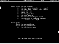 Pong