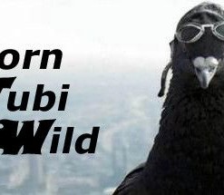 Born Tubi Wild