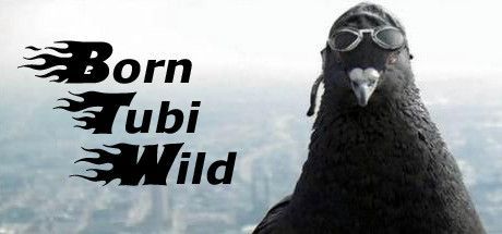 Born Tubi Wild