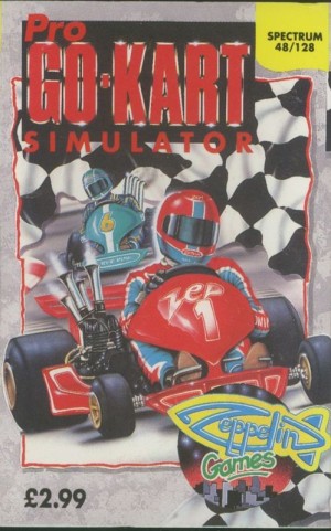 Professional Go-Kart Simulator
