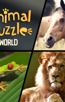 Animal Puzzle World