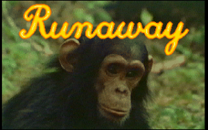 Runaway