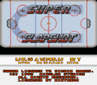 Super Slap Shot