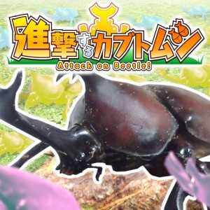 Attack on Beetle