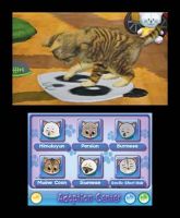 Purr Pals Purrfection
