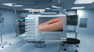 Surgery Simulator 2011