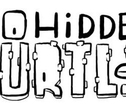 100 Hidden Turtles