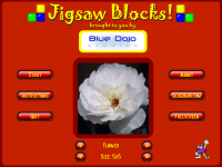 Jigsaw Blocks