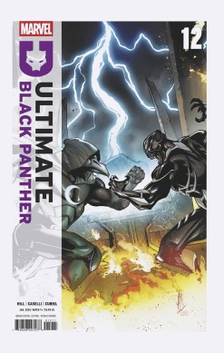 Ultimate Black Panther (Vol.1) #12