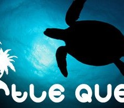 Turtle Quest